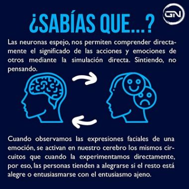 Neuronas espejo