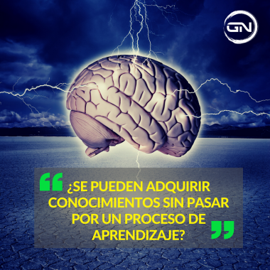 Neurociencia